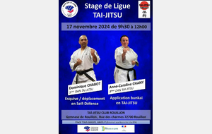 Stage technique de ligue Tai-Jitsu 